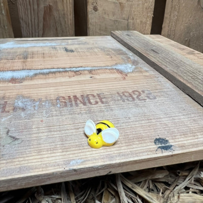 Lil Yellow Bee BOTANICAL BESTIES PLANT COMPANIONS