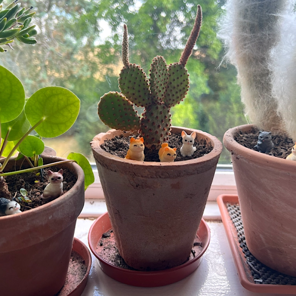 BOTANICAL BESTIES - PLANT COMPANIONS CATS