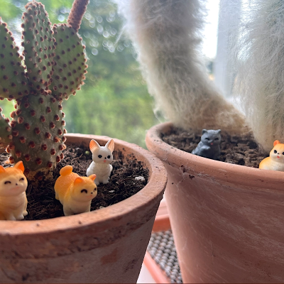 BOTANICAL BESTIES - PLANT COMPANIONS CATS