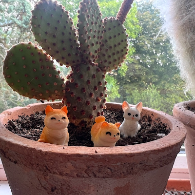 BOTANICAL BESTIES - PLANT COMPANIONS CATS