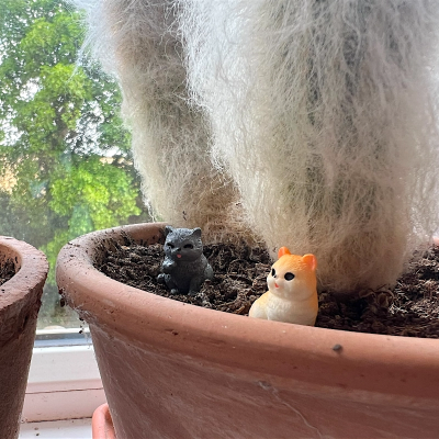 BOTANICAL BESTIES - PLANT COMPANIONS CATS