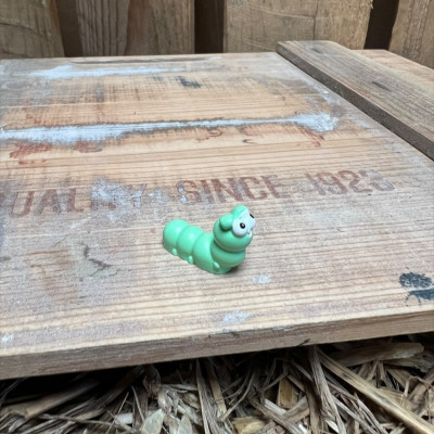 Caterpillar BOTANICAL BESTIES PLANT COMPANIONS