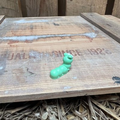 Caterpillar BOTANICAL BESTIES PLANT COMPANIONS