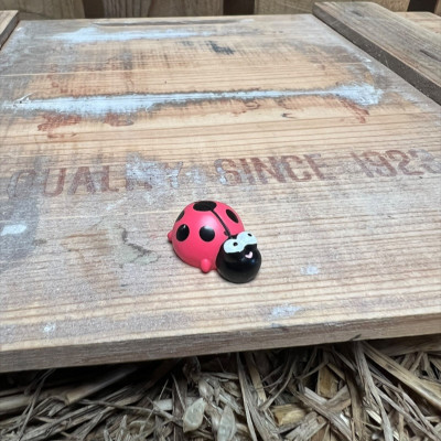 Ladybug BOTANICAL BESTIES PLANT COMPANIONS