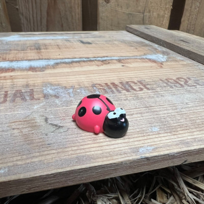 Ladybug BOTANICAL BESTIES PLANT COMPANIONS