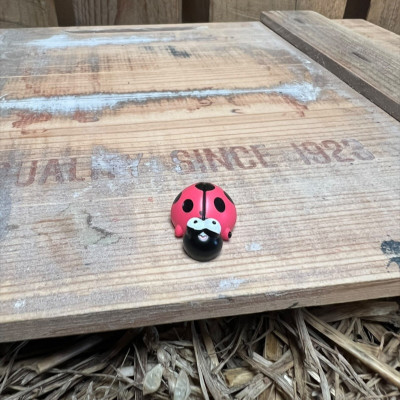 Ladybug BOTANICAL BESTIES PLANT COMPANIONS
