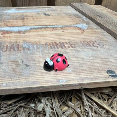 Ladybug BOTANICAL BESTIES PLANT COMPANIONS