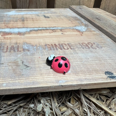 Ladybug BOTANICAL BESTIES PLANT COMPANIONS
