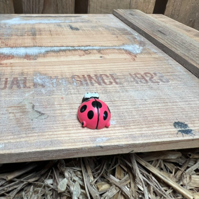 Ladybug BOTANICAL BESTIES PLANT COMPANIONS