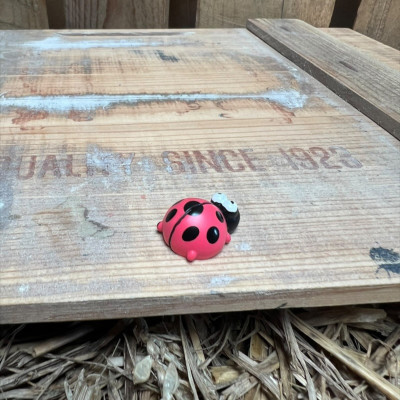 Ladybug BOTANICAL BESTIES PLANT COMPANIONS