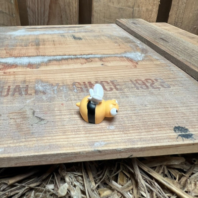 Bumble Bee BOTANICAL BESTIES PLANT COMPANIONS