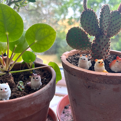 BOTANICAL BESTIES - PLANT COMPANIONS SITTING CATS