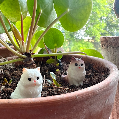 BOTANICAL BESTIES - PLANT COMPANIONS SITTING CATS