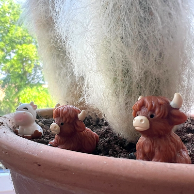 BOTANICAL BESTIES - PLANT COMPANIONS FARM ANIMALS