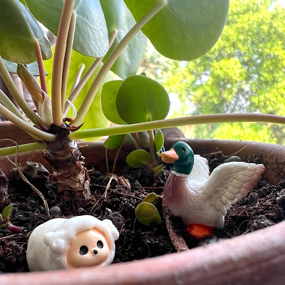 BOTANICAL BESTIES - PLANT COMPANIONS FARM ANIMALS