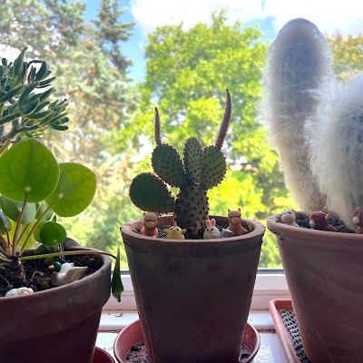 BOTANICAL BESTIES - PLANT COMPANIONS FARM ANIMALS