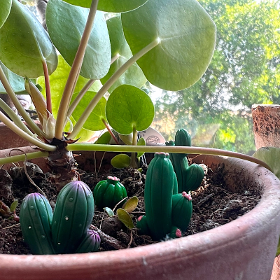 BOTANICAL BESTIES - PLANT COMPANIONS MINI CACTUS