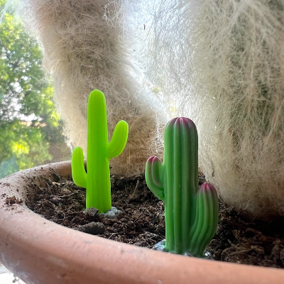 BOTANICAL BESTIES - PLANT COMPANIONS MINI CACTUS