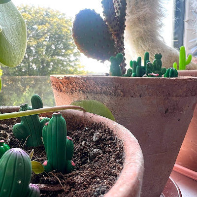 BOTANICAL BESTIES - PLANT COMPANIONS MINI CACTUS