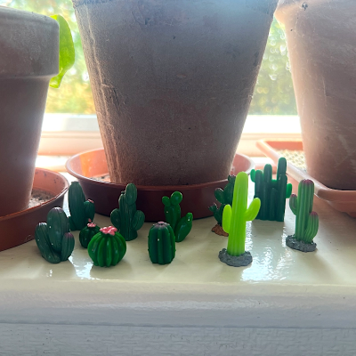 BOTANICAL BESTIES - PLANT COMPANIONS MINI CACTUS