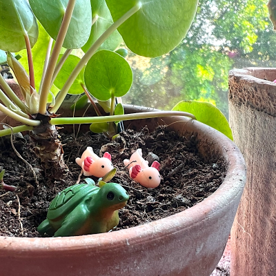BOTANICAL BESTIES - PLANT COMPANIONS MEXICO ANIMALS