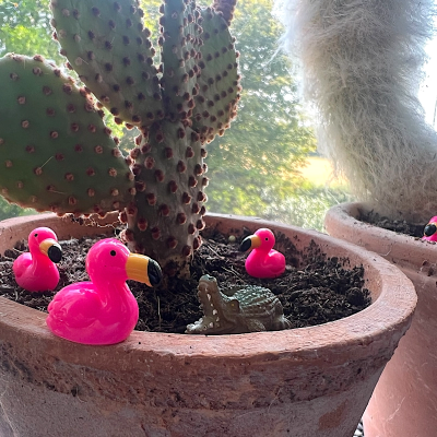 BOTANICAL BESTIES - PLANT COMPANIONS MEXICO ANIMALS