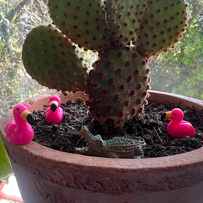 BOTANICAL BESTIES - PLANT COMPANIONS MEXICO ANIMALS
