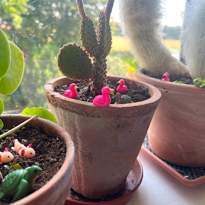 BOTANICAL BESTIES - PLANT COMPANIONS MEXICO ANIMALS