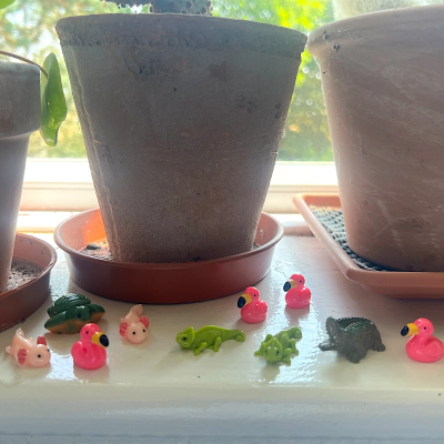 BOTANICAL BESTIES - PLANT COMPANIONS MEXICO ANIMALS