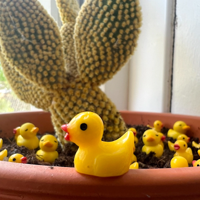 BOTANICAL BESTIES - PLANT COMPANIONS MINI RUBBER DUCKS