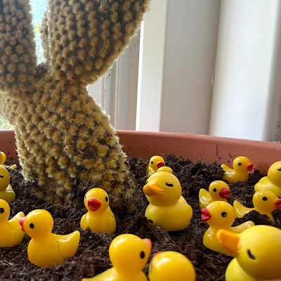 BOTANICAL BESTIES - PLANT COMPANIONS MINI RUBBER DUCKS