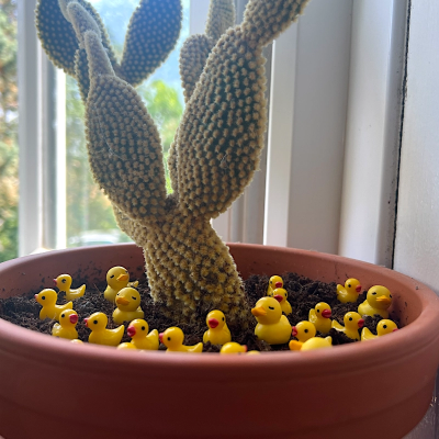 BOTANICAL BESTIES - PLANT COMPANIONS MINI RUBBER DUCKS
