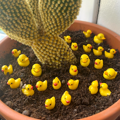 BOTANICAL BESTIES - PLANT COMPANIONS MINI RUBBER DUCKS
