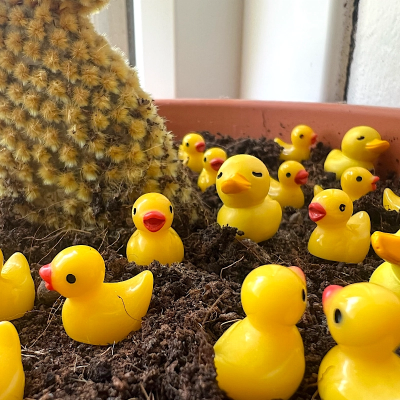 BOTANICAL BESTIES - PLANT COMPANIONS MINI RUBBER DUCKS
