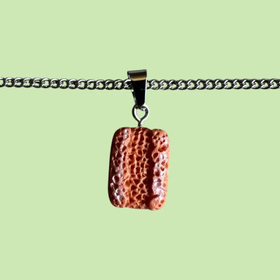 Panini Resin Pendant with Chain