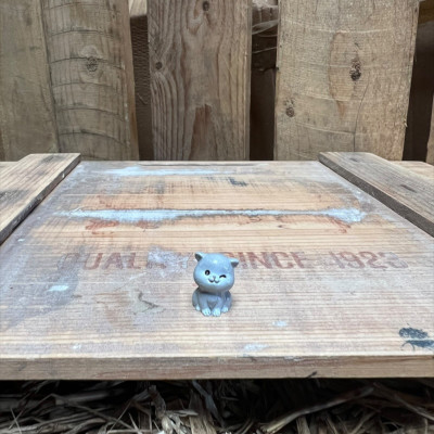 Grey Cat BOTANICAL BESTIES PLANT COMPANIONS