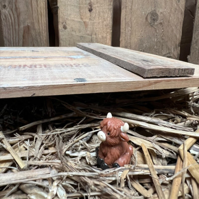 Sitting Highland Cow BOTANICAL BESTIES PLANT COMPANIONS
