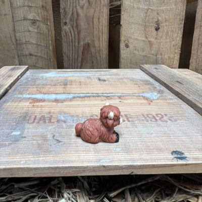 Laying Highland Cow BOTANICAL BESTIES PLANT COMPANIONS