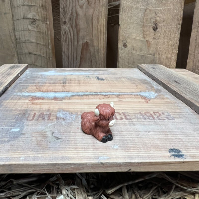 Laying Highland Cow BOTANICAL BESTIES PLANT COMPANIONS