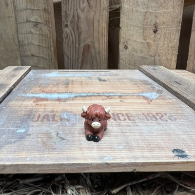 Laying Highland Cow BOTANICAL BESTIES PLANT COMPANIONS