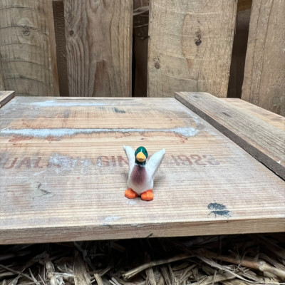 Mallard Duck BOTANICAL BESTIES PLANT COMPANIONS
