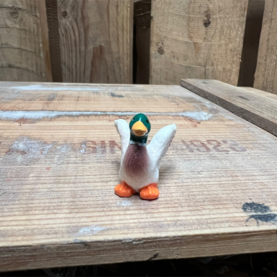 Mallard Duck BOTANICAL BESTIES PLANT COMPANIONS