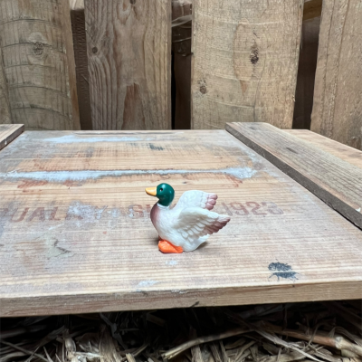 Mallard Duck BOTANICAL BESTIES PLANT COMPANIONS