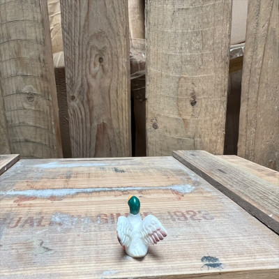 Mallard Duck BOTANICAL BESTIES PLANT COMPANIONS