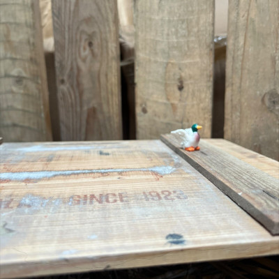 Mallard Duck BOTANICAL BESTIES PLANT COMPANIONS