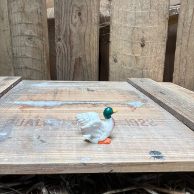 Mallard Duck BOTANICAL BESTIES PLANT COMPANIONS