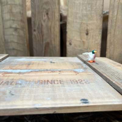 Mallard Duck BOTANICAL BESTIES PLANT COMPANIONS