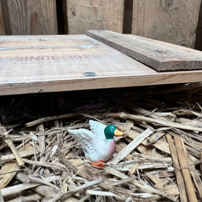 Mallard Duck BOTANICAL BESTIES PLANT COMPANIONS