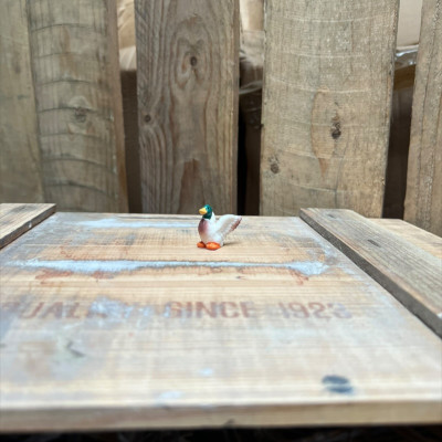 Mallard Duck BOTANICAL BESTIES PLANT COMPANIONS