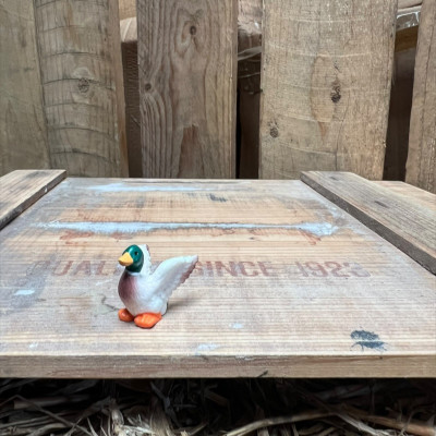 Mallard Duck BOTANICAL BESTIES PLANT COMPANIONS